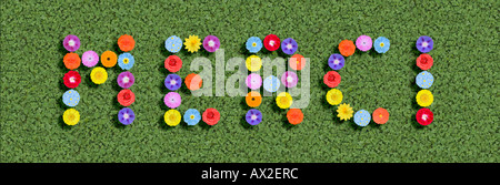 Merci danke danke Sie in Sprache geschrieben mit Blumen französischer Stockfoto