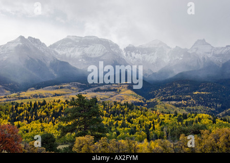Schneebedeckte Berge, eingehüllt in Nebel und Herbst Aspen Bäume des Bereichs Sneffels in Ouray County Colorado Stockfoto