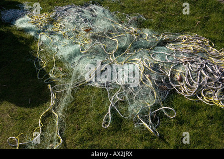 Fischnetz Verlegung auf Rasen Stockfoto