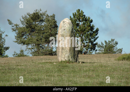 Menhir bei Cham Des Bondons, Lozère, Frankreich Stockfoto