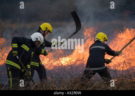 Feuerwehrleute, die Bewältigung einer Bürste Feuer im historischen Roche Rock, St Austell, Cornwall. Stockfoto