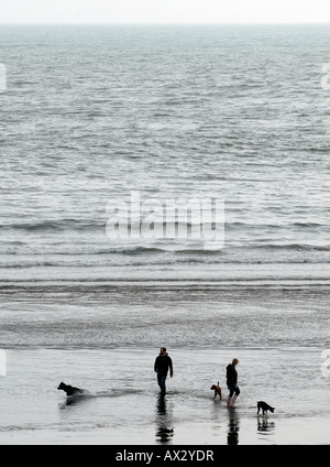 HUNDEBESITZER GEHEN IM MEER BEI BIGBURY AUF SEA,DEVON,ENGLAND.UK Stockfoto