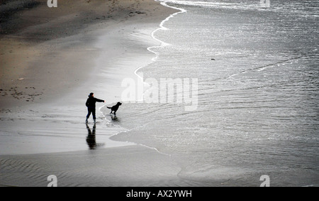 EINE DOG-WALKER AM CHALLABOROUGH STRAND IN DER NÄHE VON BIGBURY AM MEER DEVON ENGLAND, UK. Stockfoto