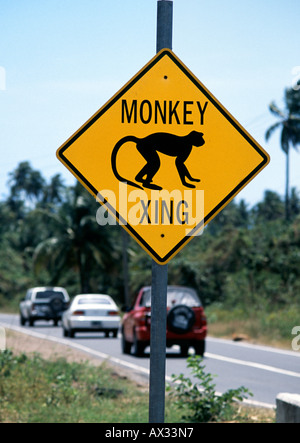 Affe-Warnung! ungewöhnliche Verkehrszeichen in Nevis Karibik Stockfoto