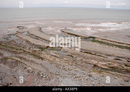 Eine geologische SSSI am Kilve Beach in North Somerset mit Kalkstein-Plattformen Stockfoto