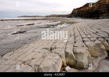 Eine geologische SSSI am Kilve Beach in North Somerset mit Kalkstein-Plattformen Stockfoto