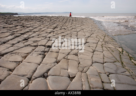 Eine geologische SSSI am Kilve Beach in North Somerset mit Kalkstein-Plattformen Stockfoto