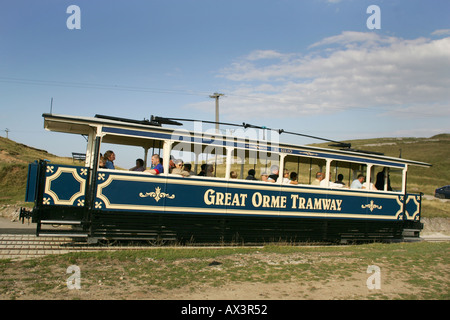 Der Great Orme Straßenbahn, Llandudno Stockfoto