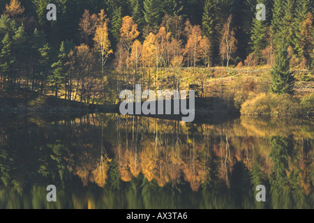 REFLEXIONEN THIRLMERE CUMBRIA Stockfoto