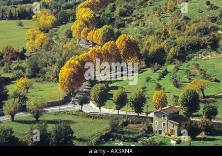 Alpes-MAritimes 06 Essen Tal im Herbst Französisch Riviera Paca Frankreich Europa Stockfoto