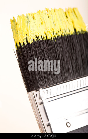Pinsel mit gelber Farbe auf Spitze Stockfoto