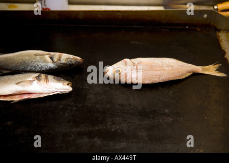 Fische auf dem grill Stockfoto