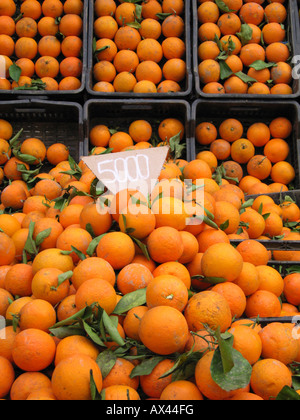 Lokalen orange Früchte auf einem Markt Stand. Cherchell, algerische Stadt westlich von Algier, Algerien, Nord-Afrika Stockfoto