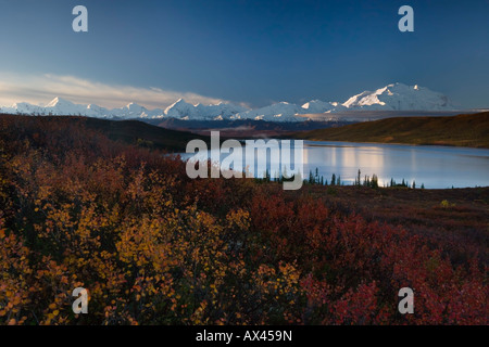 Knackige herbstlichen Morgen mit goldenen Tundra, Wonder Lake und Mt Denali Denali Nationalpark, Alaska Stockfoto