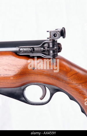 Ein Blick auf ein Gewehr Stockfoto