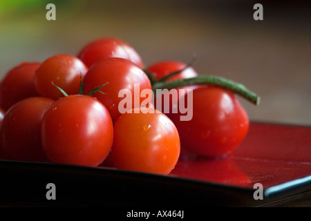 Tomaten auf einem Teller Stockfoto