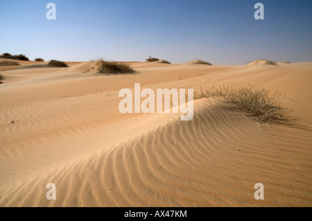 Wüste in North Eastern Saudi-Arabien Landschaft Stockfoto