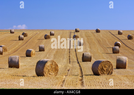 Heuballen im Außendienst, Bayern, Deutschland Stockfoto