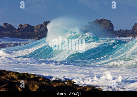 Wellen, North Shore, Oahu, Hawaii Stockfoto