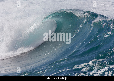 Wellen, North Shore, Oahu, Hawaii Stockfoto