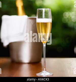 Champagner im Champagnerglas Stockfoto