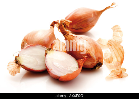 Schalotten, close-up Stockfoto