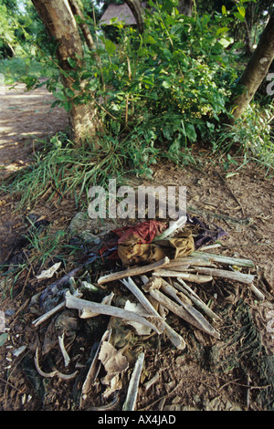 Menschliche Knochen durch den Regen von Massengräbern bei Choeung Ek (Killing Fields) in Kambodscha aufgedeckt Stockfoto