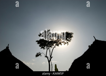 Äthiopien 2008 Awassa Gemeto Entschuldigungsschreiben Dorf bei Sonnenuntergang Stockfoto