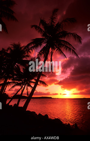 Schöne Palmen und Sonnenuntergang in Tumon Bay auf Guam ein Territorium der USA Stockfoto