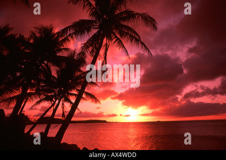 Schöne Palmen und Sonnenuntergang in Tumon Bay auf Guam ein Territorium der USA Stockfoto