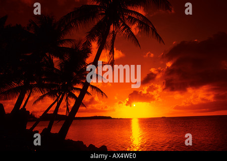 Schöne Palmen und Sonnenuntergang in Tumon Bay auf Guam ein Territorium der USA Stockfoto