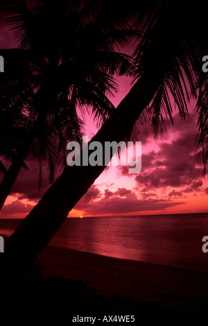 Schöne Palmen und Sonnenuntergang in Tumon Bay auf Guam ein Territorium der USA Stockfoto