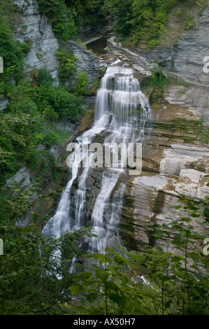 Lucifer fällt in Enfield Glen Robert H Treman Staatspark Ithaca NY Stockfoto