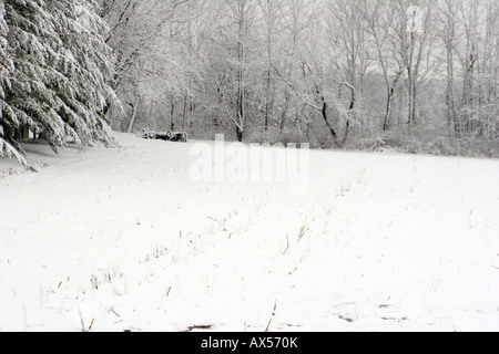 Eine alte Wagen in Schutt und Asche auf die hintere Kante der eine Hof-Feld auf einer Farm im ländlichen Wisconsin gespeichert Stockfoto