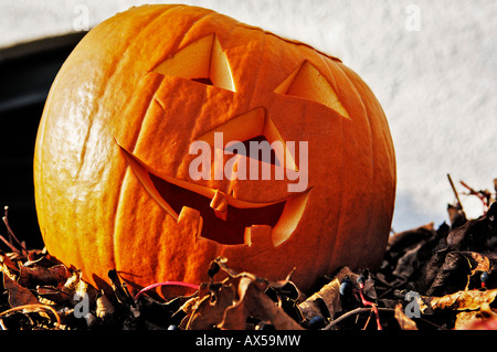 Halloween-Kürbis Stockfoto