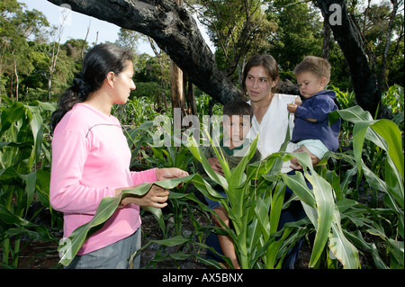 Frauen und Kinder in einem Maisfeld, frisch geräumt Regenwald, Asunción, Paraguay, Südamerika Stockfoto