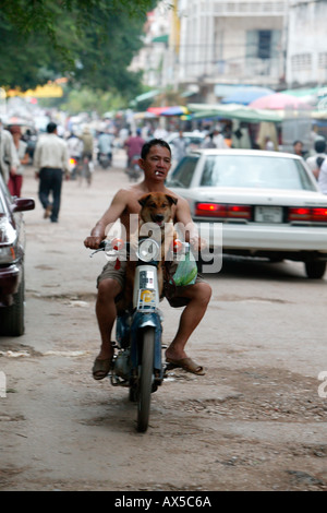 Mann mit Hund auf dem Motorrad Phnom Penh Kambodscha Asien Stockfoto