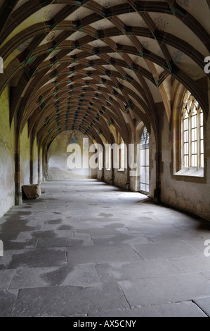 Kreuz-Mantel das Zisterzienser-Kloster in Maulbronn, Baden-Württemberg, Deutschland, Europa Stockfoto