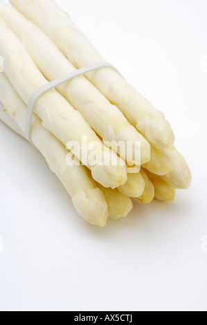 Reihe von weißen Spargel (Spargel Officinalis) Stockfoto