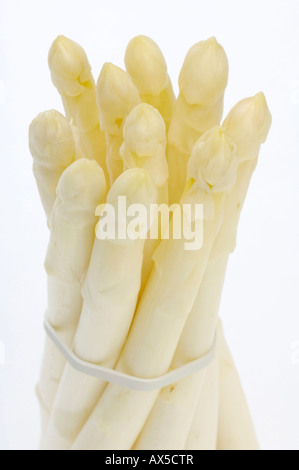 Reihe von weißen Spargel (Spargel Officinalis) Stockfoto