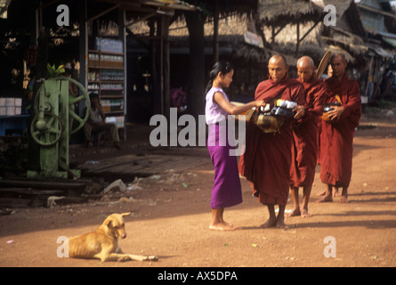 Buddhistische Mönche erhalten Reis von einer Dorffrau im ländlichen Myanmar Stockfoto