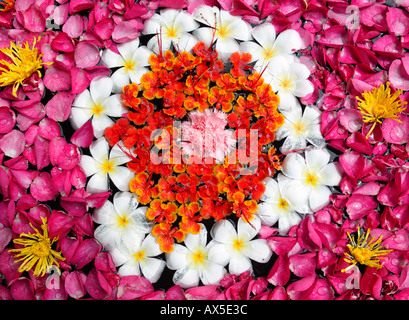 Blume Zusammensetzung Phuket Thailand Asien Stockfoto