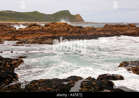 Küstenlandschaft entlang der Kap der guten Hoffnung, Südafrika, Afrika Stockfoto