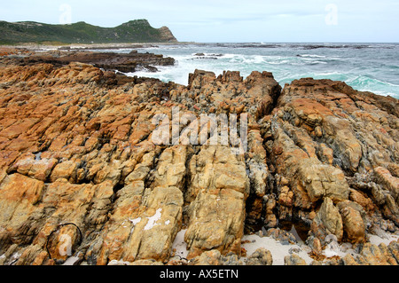 Küstenlandschaft entlang der Kap der guten Hoffnung, Südafrika, Afrika Stockfoto