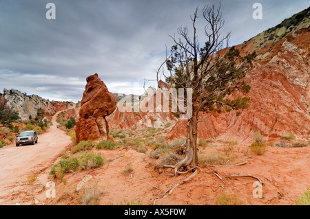 Schotterstraße neben Waterpocket Fold, Streik Tal, Mulay Twist Canyon Capitol Reef National Park, Utah, USA Stockfoto