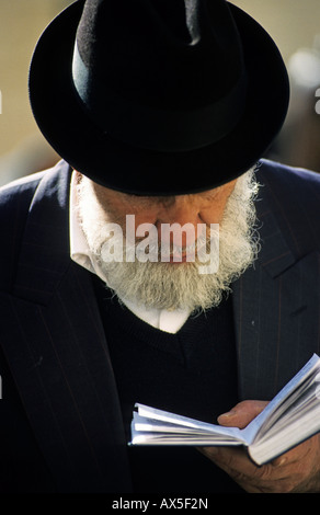 Jude Lesen der Tora, Klagemauer, Jerusalem, Israel Stockfoto