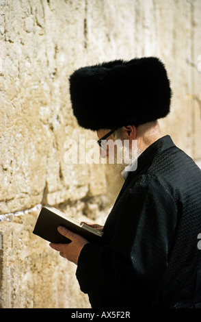 Studium der Thora, Klagemauer, Jerusalem, Israel Stockfoto