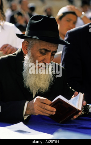 Studium der Thora, Klagemauer, Jerusalem, Israel Stockfoto