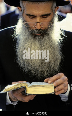 Studium der Thora, Klagemauer, Jerusalem, Israel Stockfoto