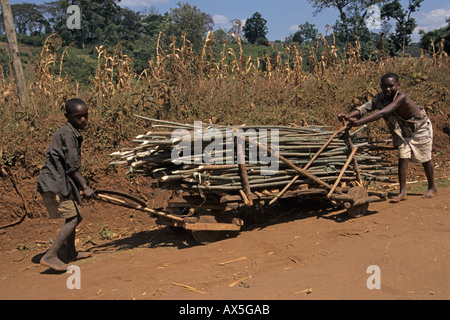 Jungen schob einen Wagen mit Pole für Hausbau, Moshi, Tansania verwendet. Stockfoto